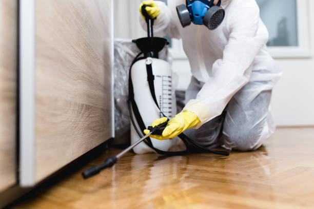 Best Pest Control Near Me  in Bethesda, MD