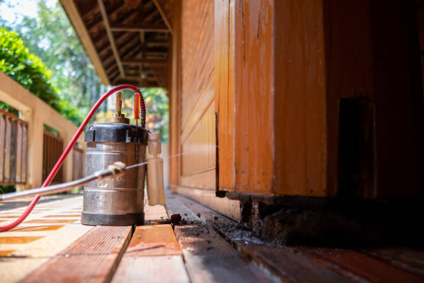 Best Affordable Pest Control Services  in Bethesda, MD