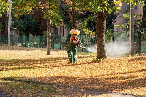 Reliable Bethesda, MD Pest Control Solutions