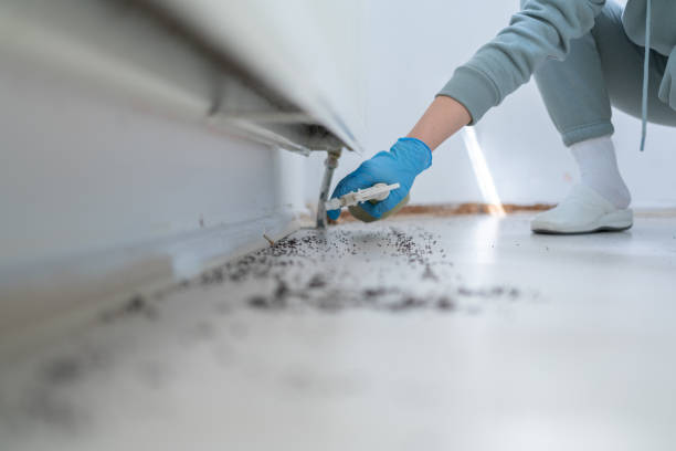 Best Pest Removal Services  in Bethesda, MD
